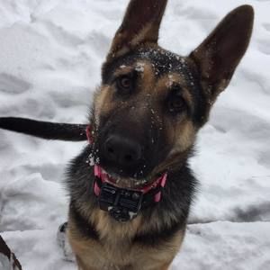 Meet your Posher, Dylan